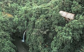 Buahan, A Banyan Tree Escape